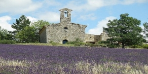 Atelier d'écriture dans la Drôme Provençale